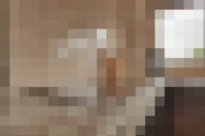 Sasputsestraat 28 Schoondijke thumbnail 18
