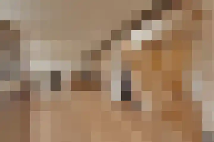 Sasputsestraat 28 Schoondijke thumbnail 19