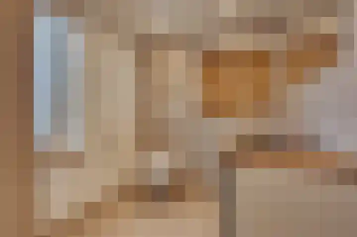 Sasputsestraat 28 Schoondijke thumbnail 20