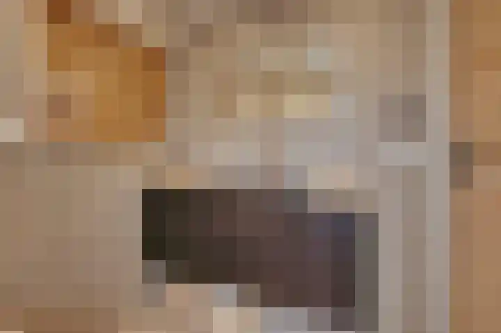 Sasputsestraat 28 Schoondijke thumbnail 21