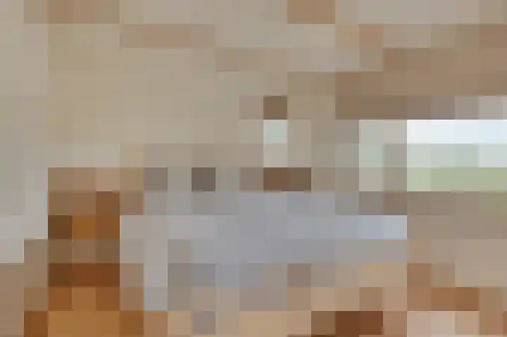 Sasputsestraat 28 Schoondijke thumbnail 24