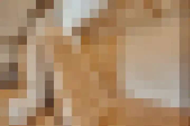 Sasputsestraat 28 Schoondijke thumbnail 26