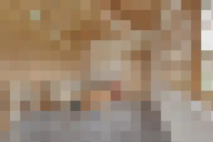 Sasputsestraat 28 Schoondijke thumbnail 33