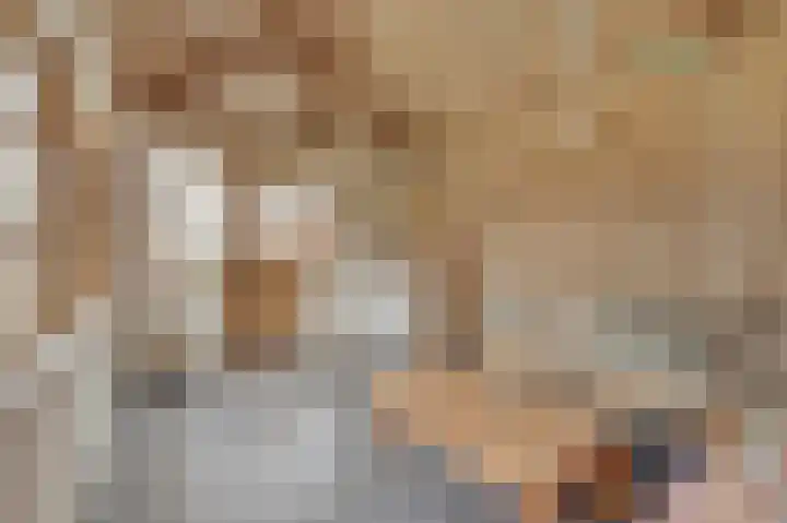Sasputsestraat 28 Schoondijke thumbnail 35