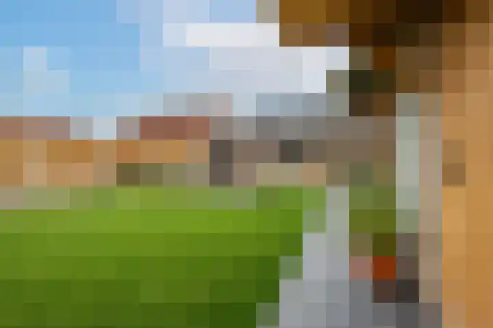 Sasputsestraat 28 Schoondijke thumbnail 36