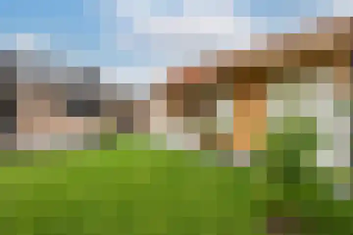 Sasputsestraat 28 Schoondijke thumbnail 37
