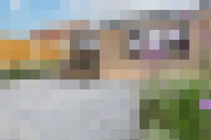 Sasputsestraat 28 Schoondijke thumbnail 39