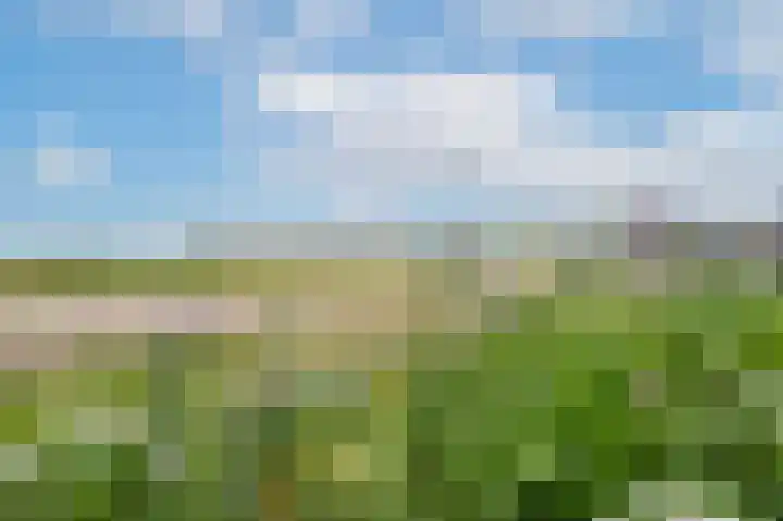 Sasputsestraat 28 Schoondijke thumbnail 4