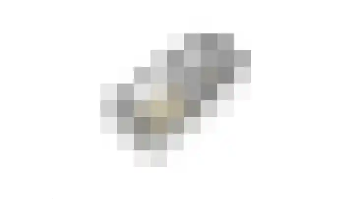 Sasputsestraat 28 Schoondijke thumbnail 47