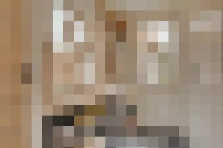 Sasputsestraat 28 Schoondijke thumbnail 9