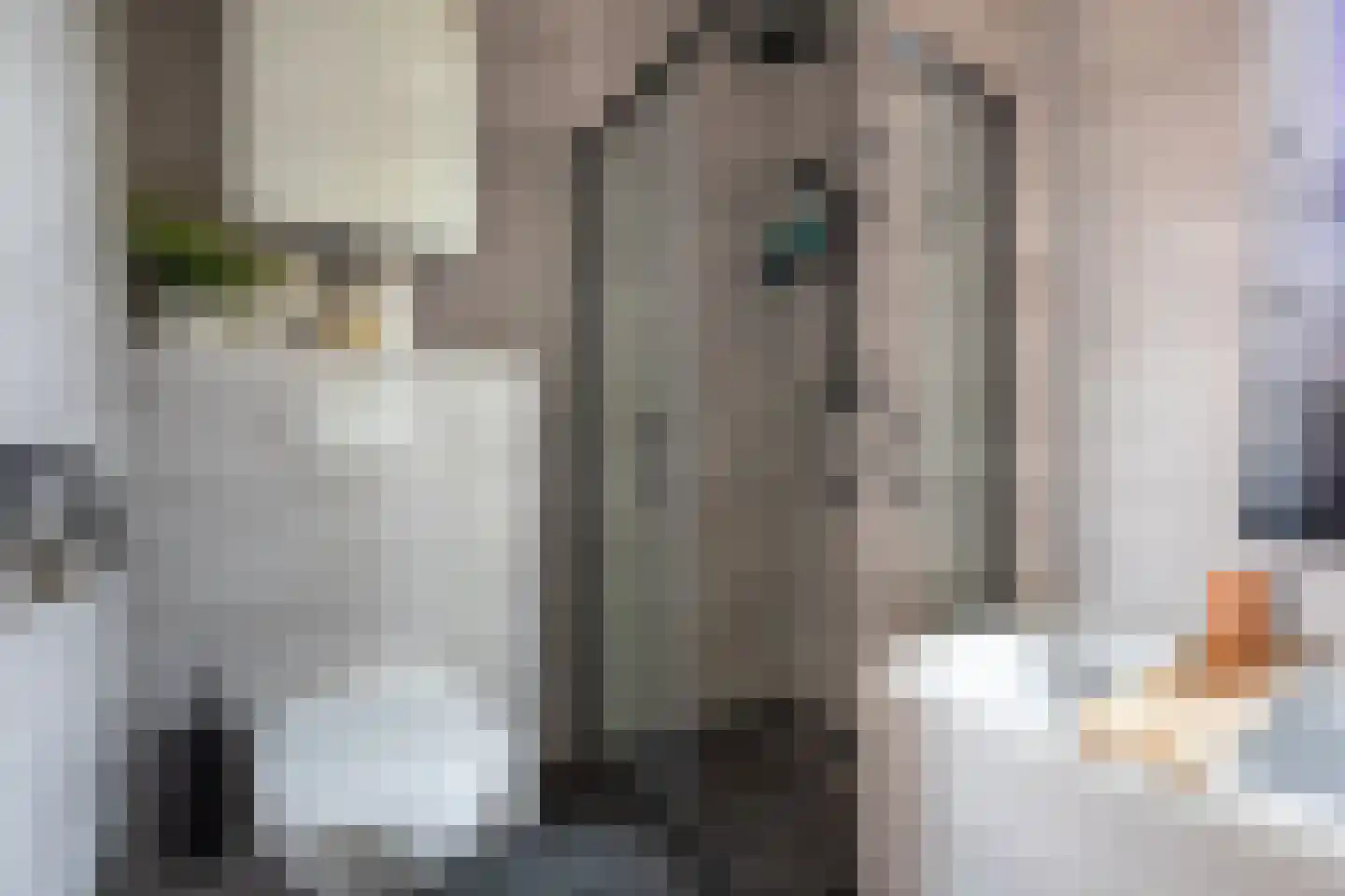 Sassafraslaan 39 Utrecht thumbnail 20