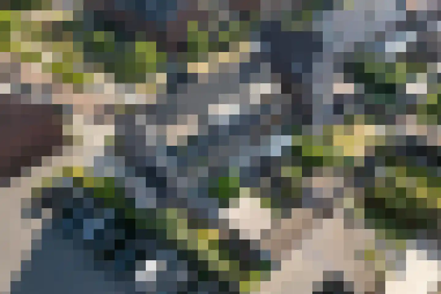 Sassafraslaan 39 Utrecht thumbnail 33