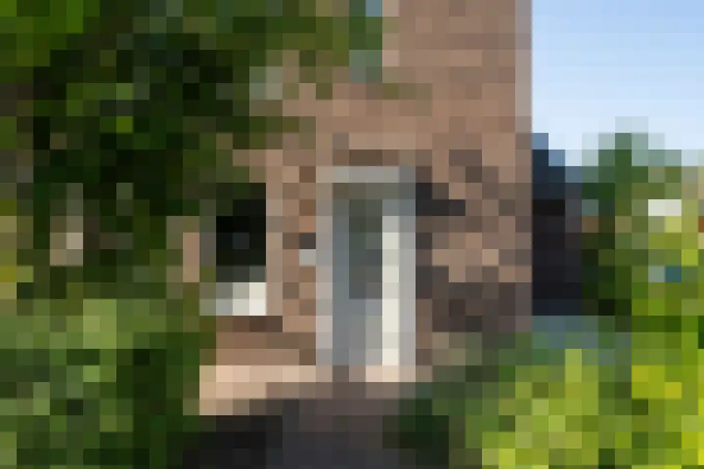 Sassafraslaan 39 Utrecht thumbnail 5
