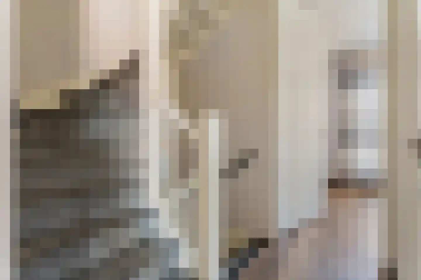 Sassafraslaan 68 Utrecht thumbnail 16