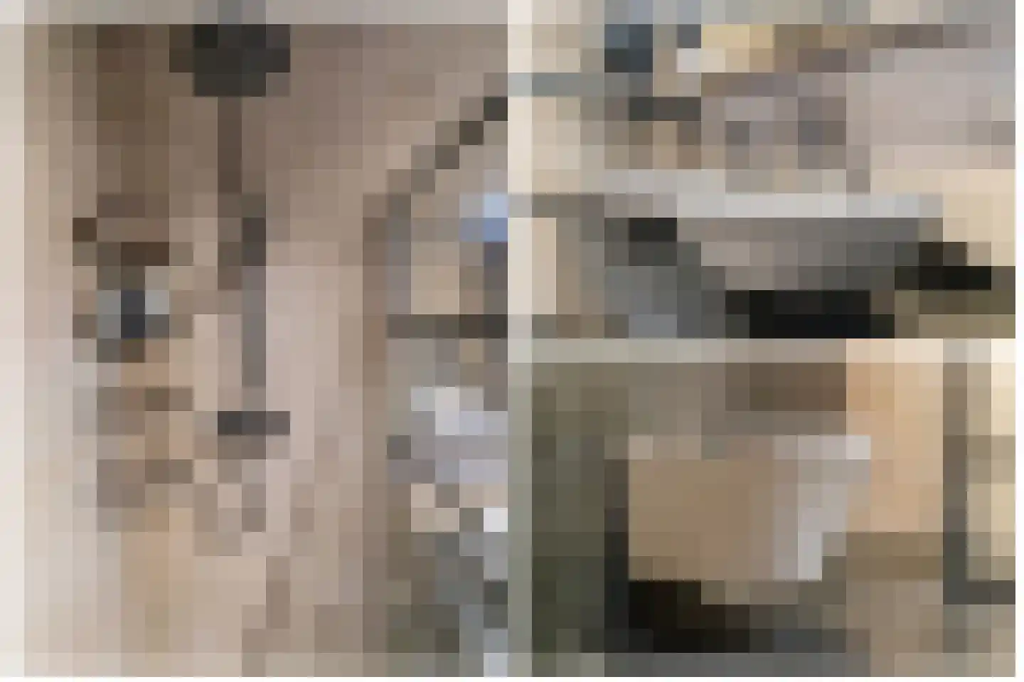 Sassafraslaan 68 Utrecht thumbnail 23