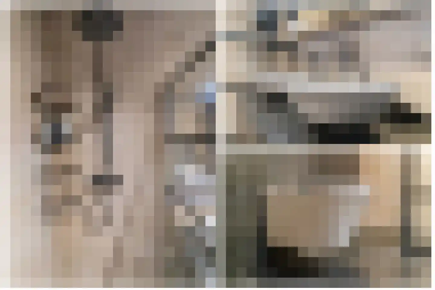 Sassafraslaan 68 Utrecht thumbnail 23