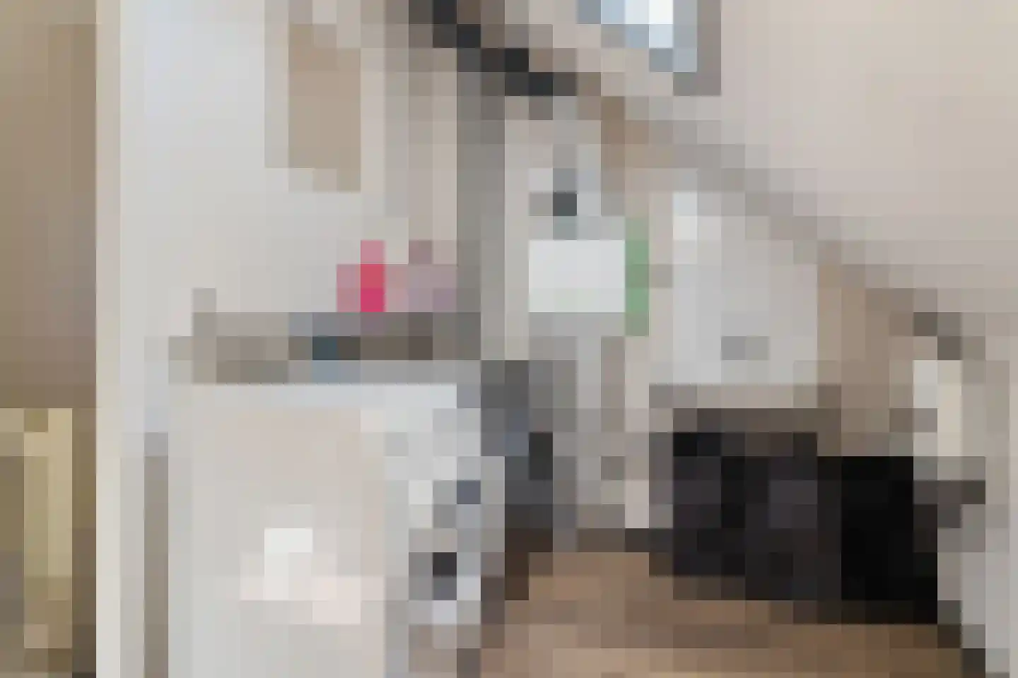 Sassafraslaan 68 Utrecht thumbnail 27