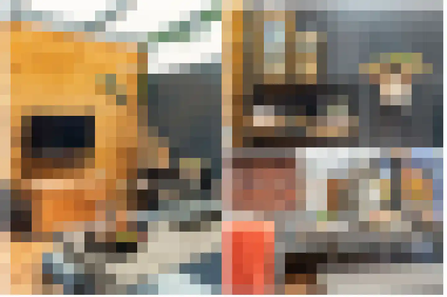Sassafraslaan 68 Utrecht thumbnail 32