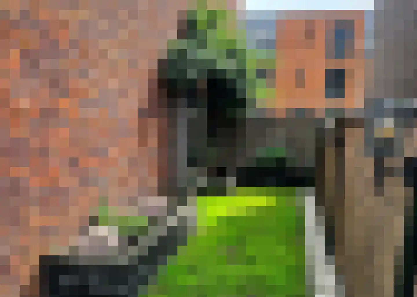 Sassafraslaan 68 Utrecht thumbnail 34