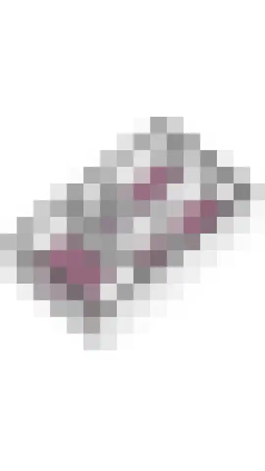 Sassafraslaan 68 Utrecht thumbnail 43