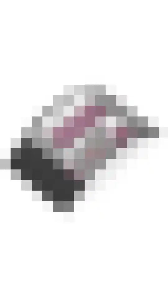 Sassafraslaan 68 Utrecht thumbnail 45
