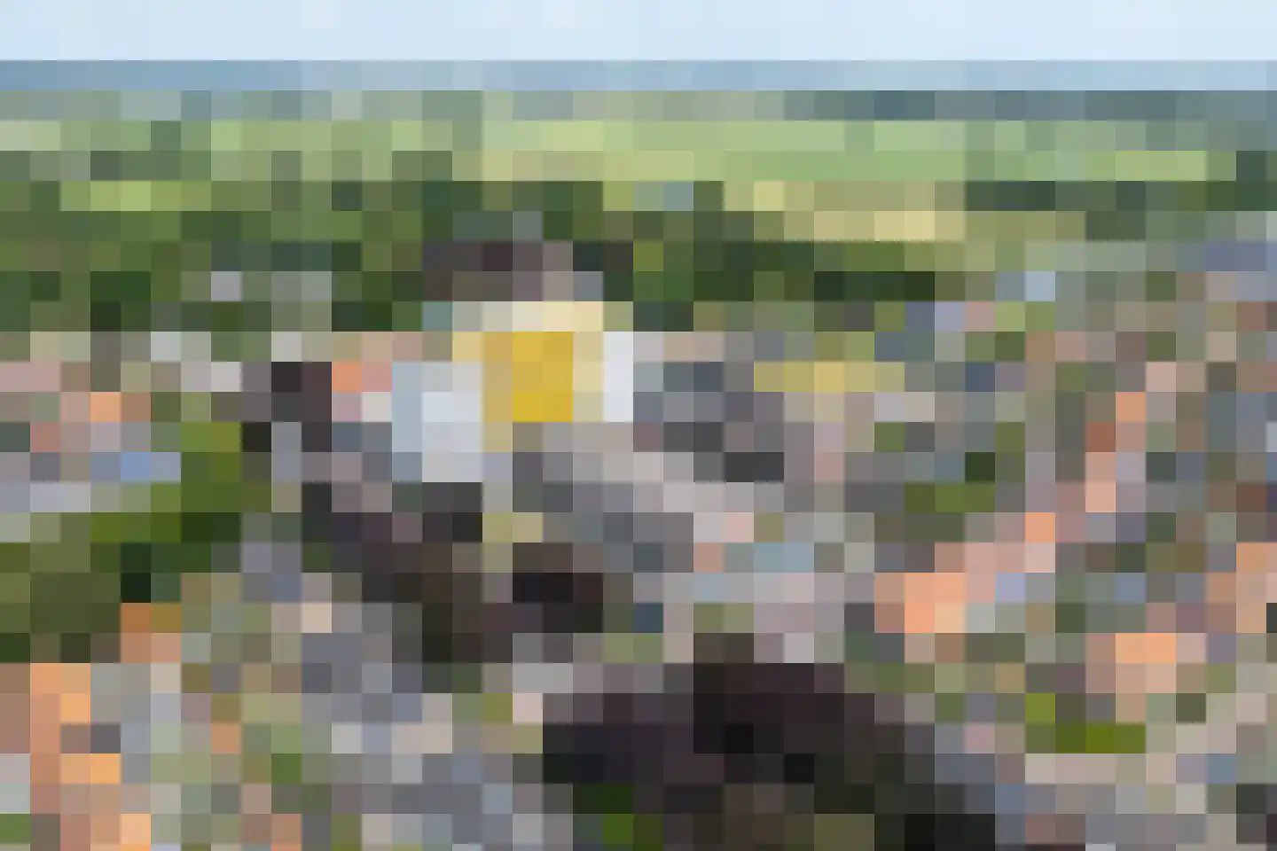 Sassemerhof 1 Sassenheim thumbnail 5