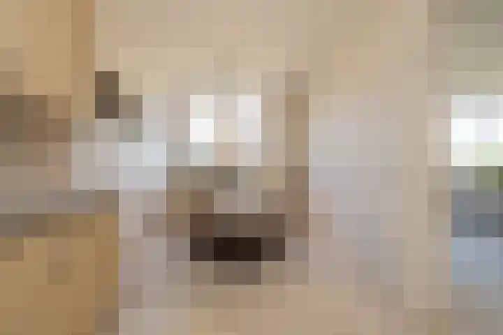 Sassemerhof 12 Sassenheim thumbnail 16