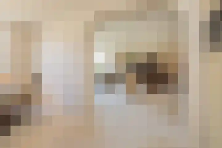 Sassemerhof 12 Sassenheim thumbnail 17