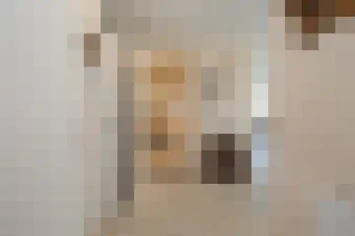 Sassemerhof 12 Sassenheim thumbnail 18