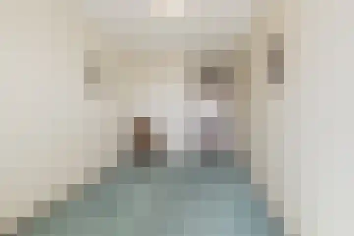 Sassemerhof 12 Sassenheim thumbnail 23