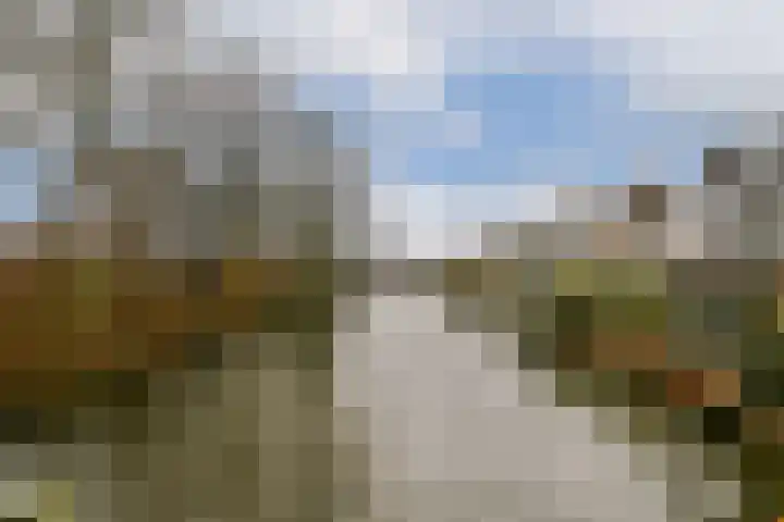 Sassemerhof 36 Sassenheim thumbnail 24