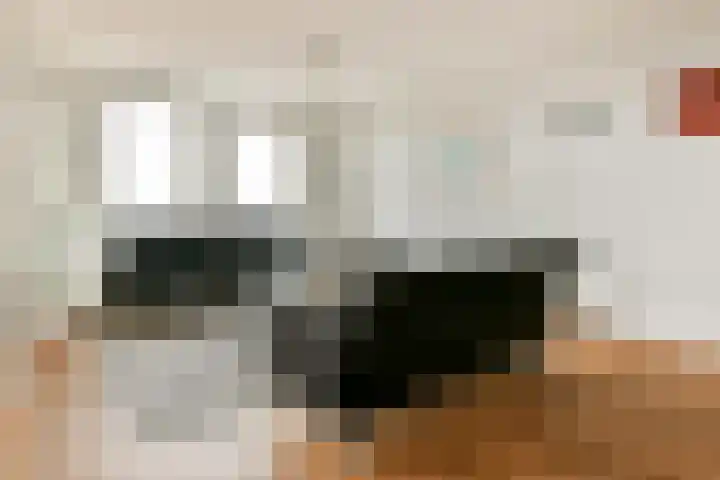Sassemerhof 36 Sassenheim thumbnail 6