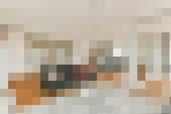 Sassemerhof 36 Sassenheim thumbnail 7