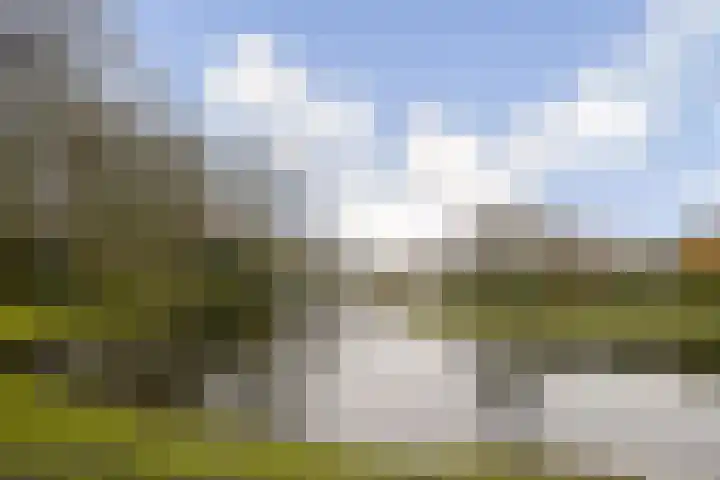Sassemerhof 51 Sassenheim thumbnail 18