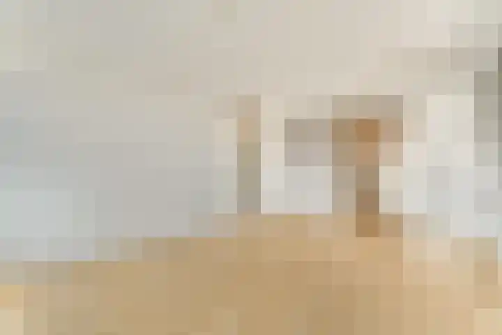 Sassemerhof 51 Sassenheim thumbnail 5