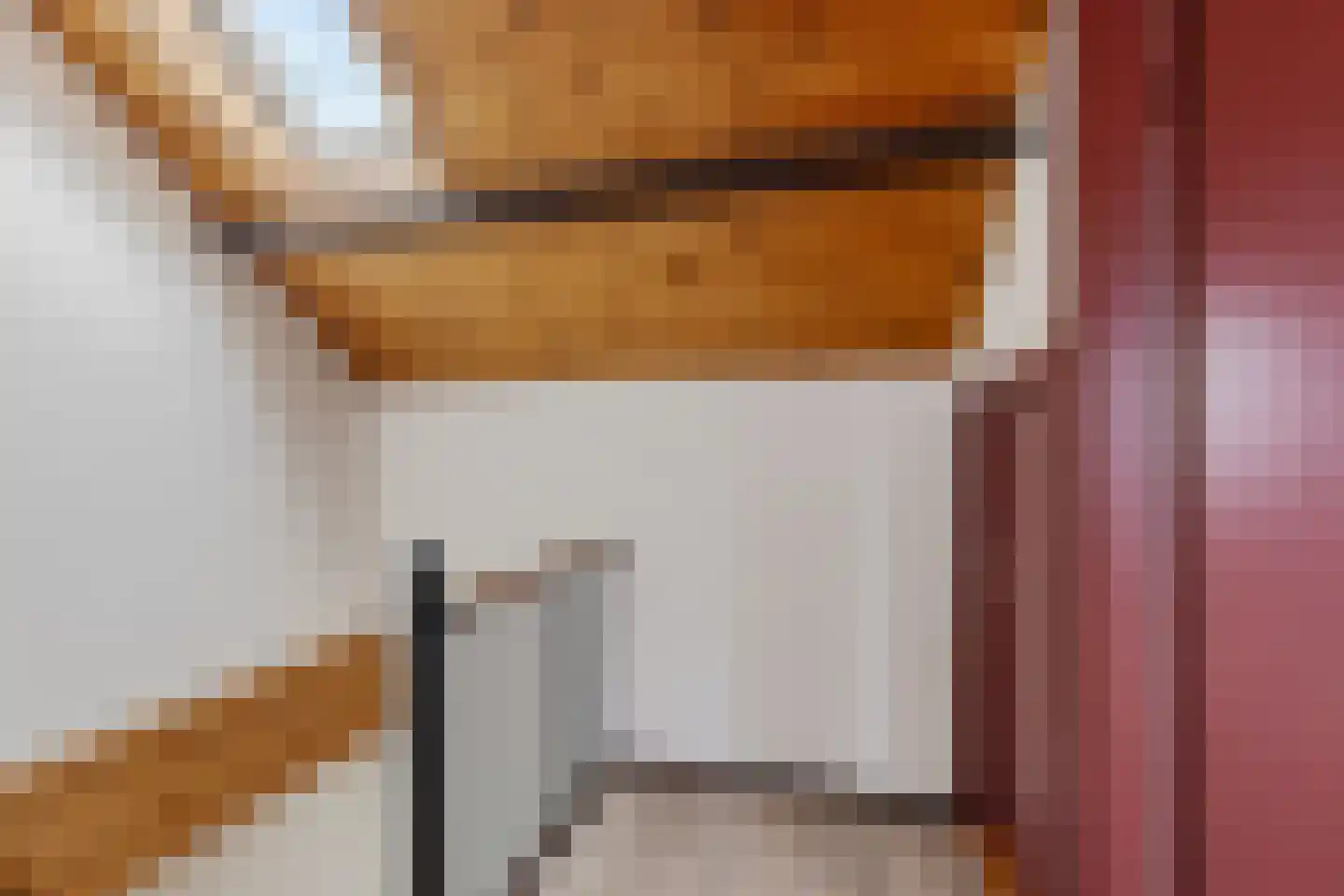 Sassenbergen 39 Borger thumbnail 22