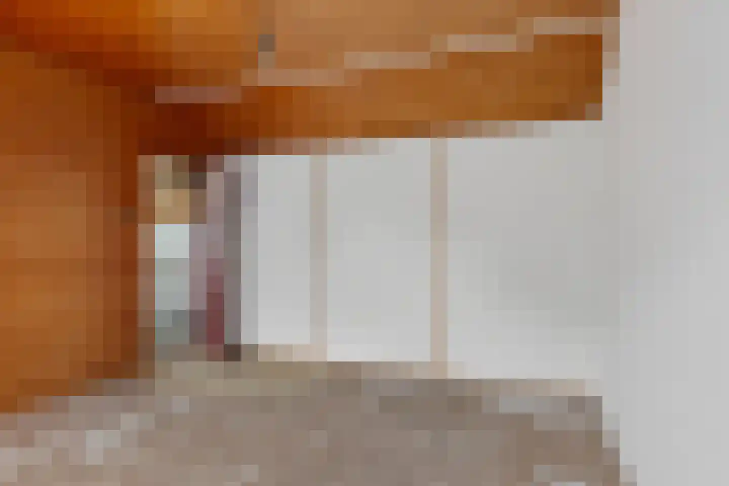 Sassenbergen 39 Borger thumbnail 25