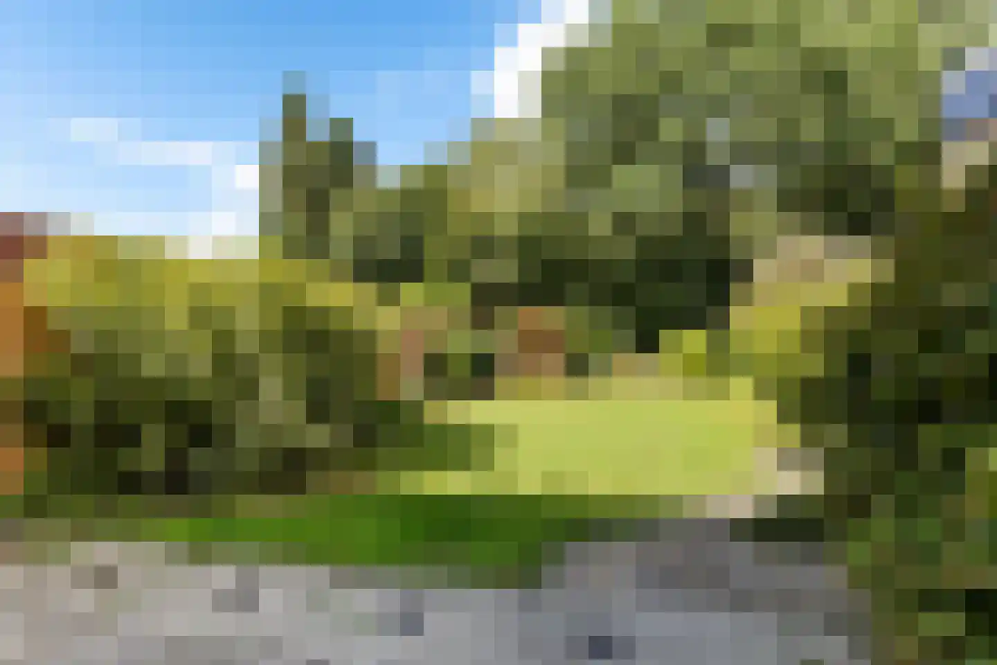 Sassenbergen 39 Borger thumbnail 26