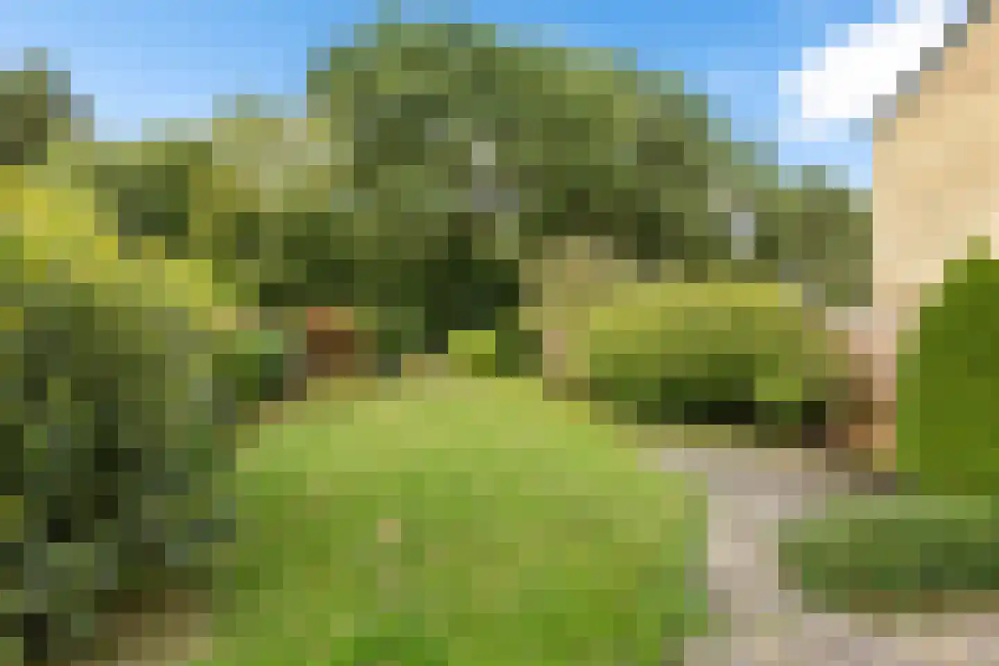Sassenbergen 39 Borger thumbnail 29
