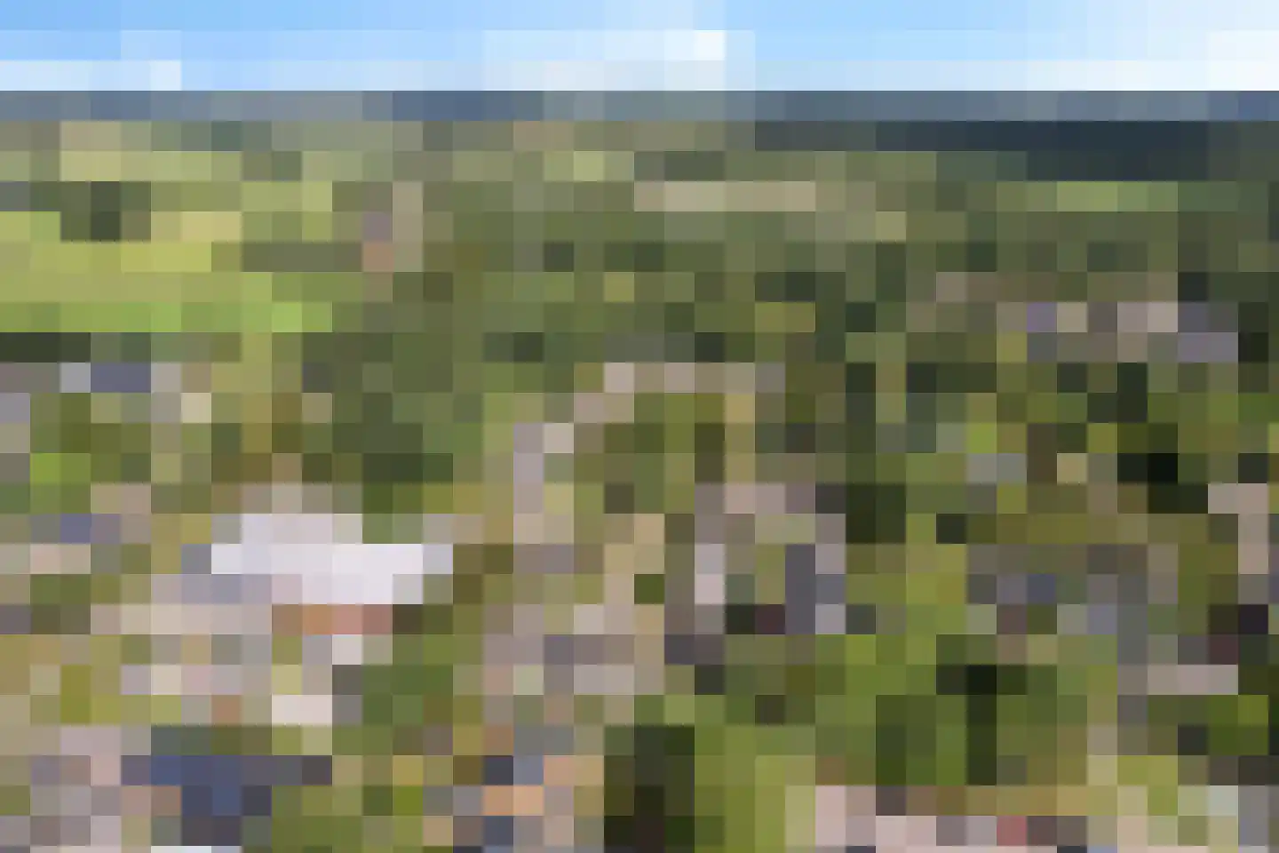 Sassenbergen 39 Borger thumbnail 35