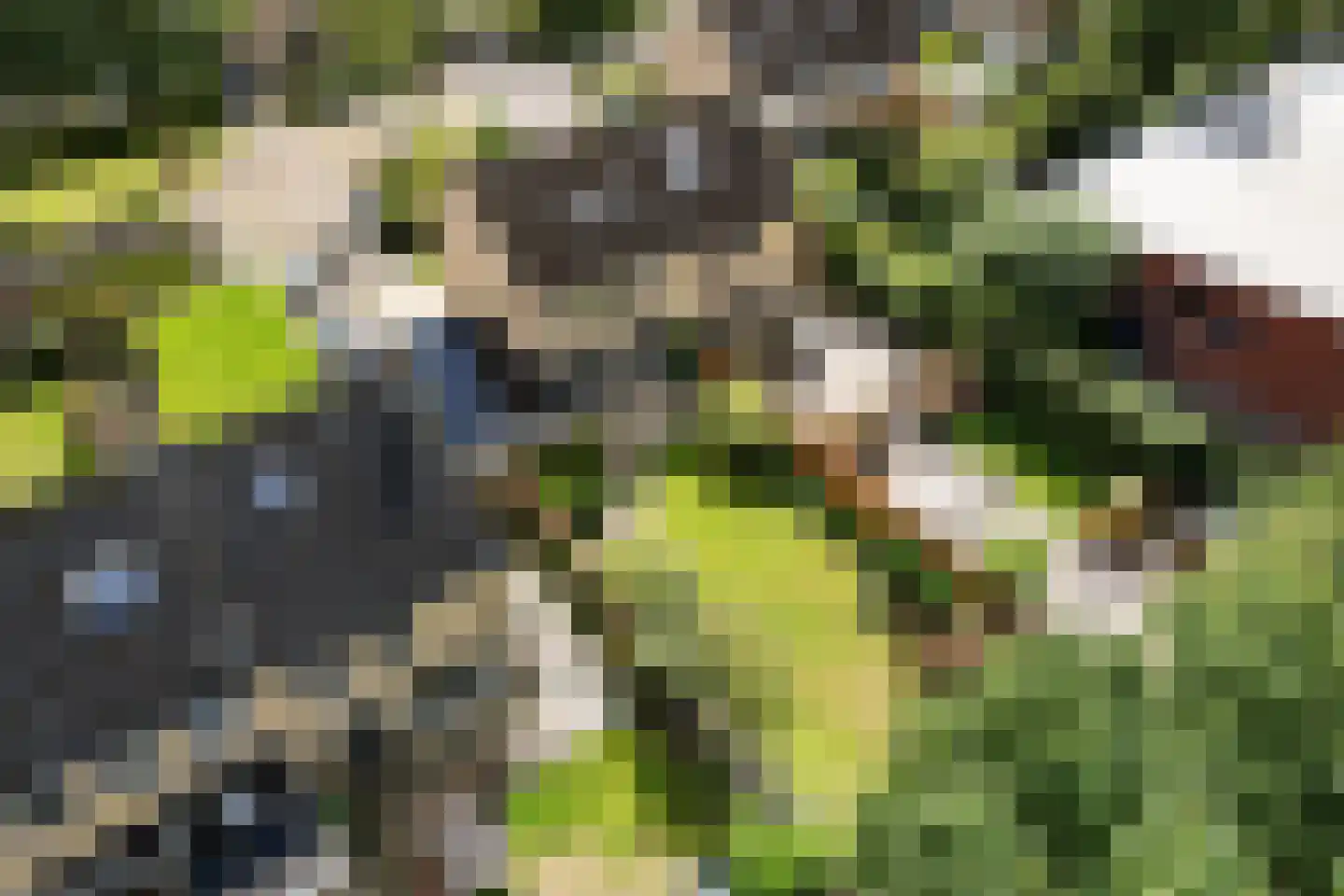 Sassenbergen 39 Borger thumbnail 4