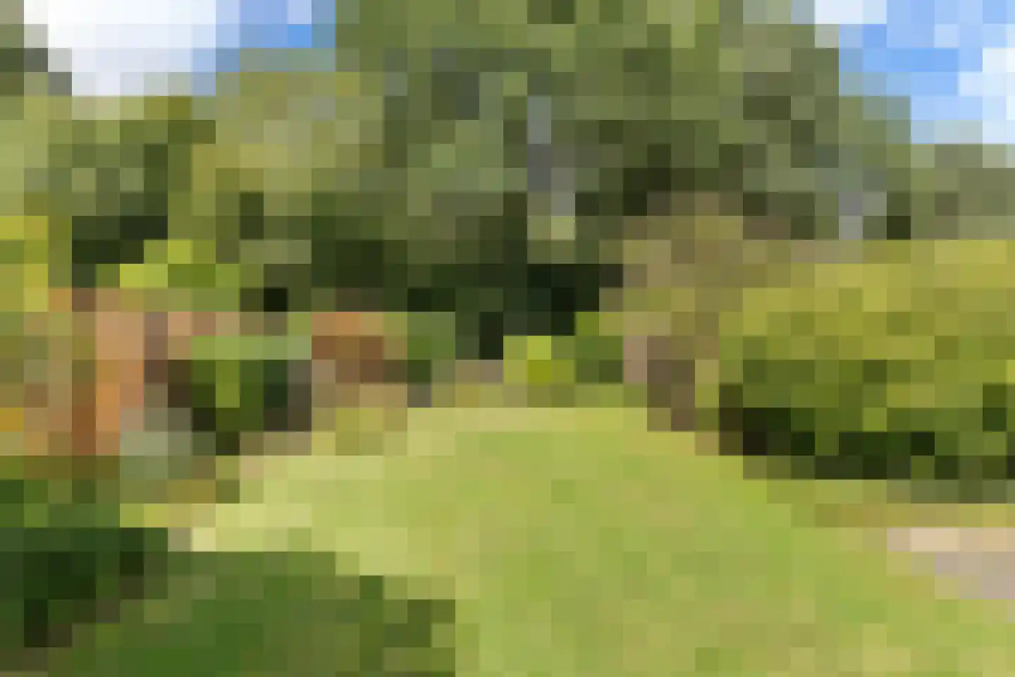 Sassenbergen 39 Borger thumbnail 5