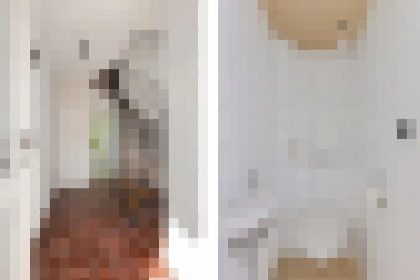 Sassenbergen 39 Borger thumbnail 6