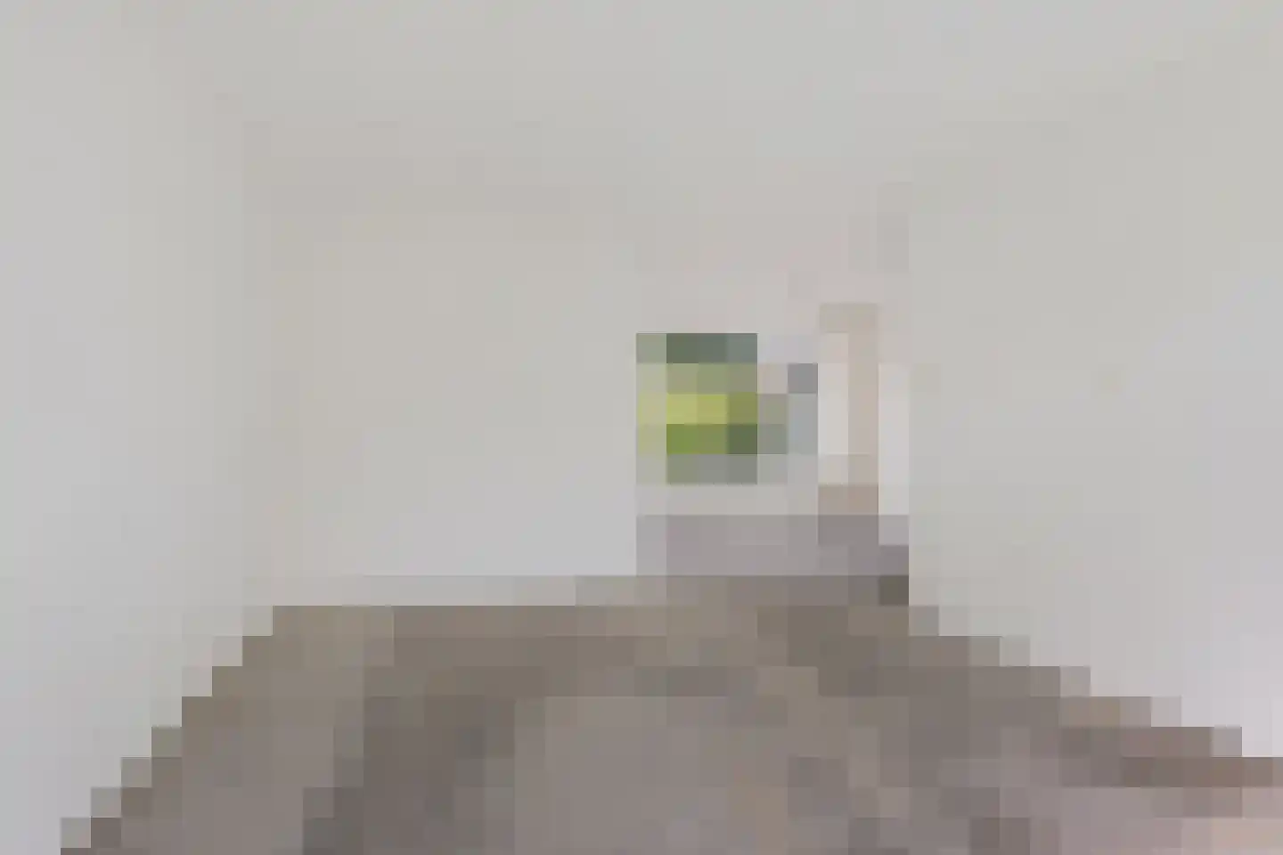 Sassenbergen 39 Borger thumbnail 8