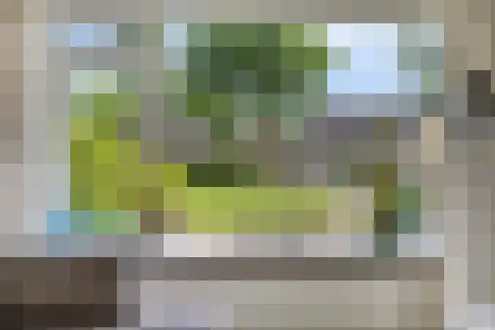 Sassenbergen 41 Borger thumbnail 12
