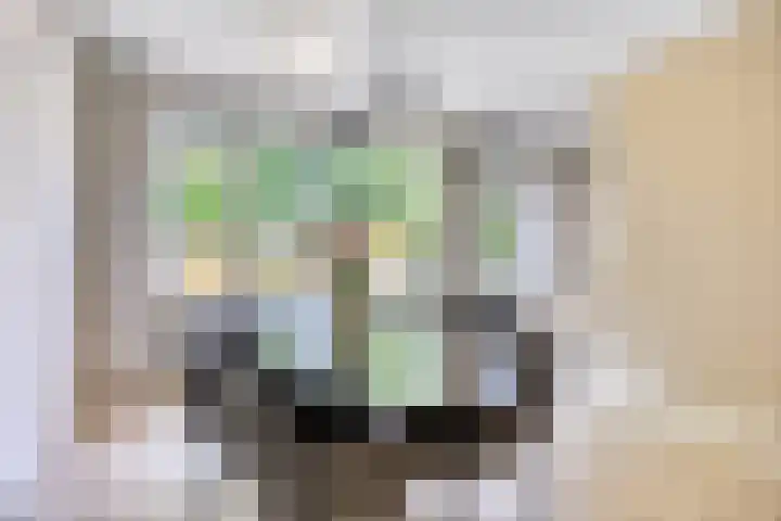 Sassenbergen 41 Borger thumbnail 13
