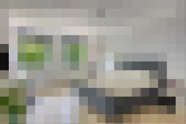 Sassenbergen 41 Borger thumbnail 19