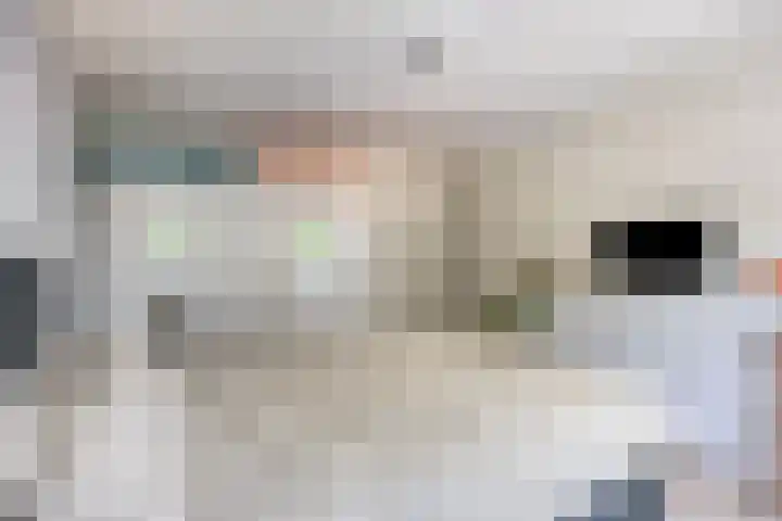 Sassenbergen 41 Borger thumbnail 20