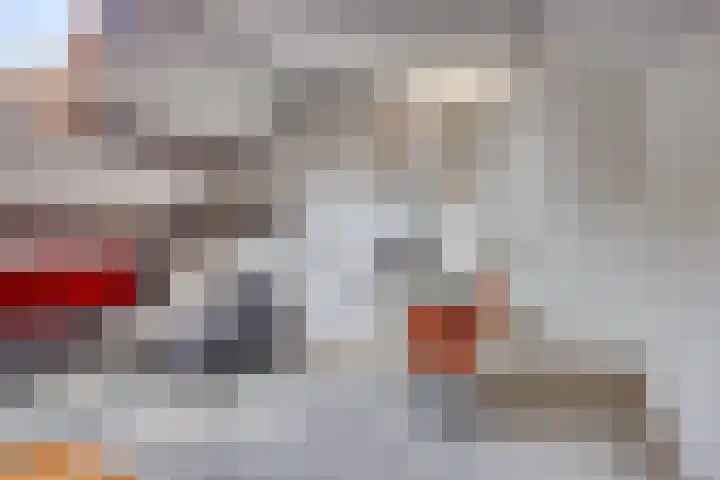 Sassenbergen 41 Borger thumbnail 28