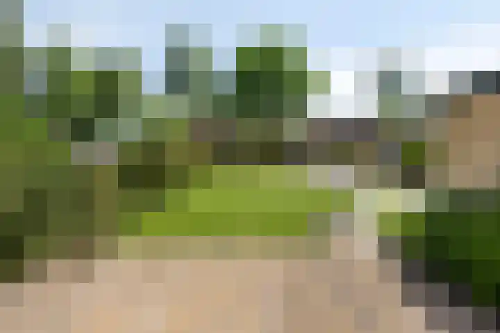 Sassenbergen 41 Borger thumbnail 31
